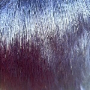 NWT Blue Faux Fur Scarf